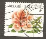 Belgium - Michel 2784