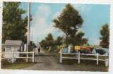 cpsm 14 Franceville-sur-Mer le Camping-Communa