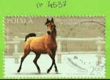 POLOGNE YT N°4537 OBLIT