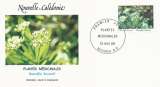 Enveloppe 1er jour FDC Nouvelle Calédonie PA N°258 Plante médicinale - Rauvolfia sevenetti -18/05/88
