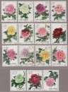 Pivoines (vente réservée)
