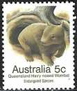 Australie - 1981 - Y & T n° 747 - MNH