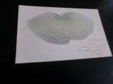 miniature BELLE CARTE FANTAISIE..ILLUSTRATION (petit gauffrage) 