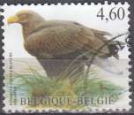 miniature Belgique 2009 COB 3871 O Cote (2016) 2.50 € Pyrargue à queue blanche Cachet rond