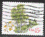 Timbre