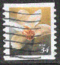 USA - YT  3154  obl - Orchidée (2001) 