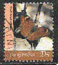 Timbre