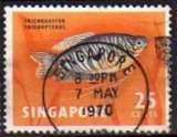 miniature Gourami bleu (trichogaster) (1962) - YT 59 °