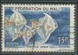 miniature Poisson lune (psettus sebaoe) (1960) - YT 4 °