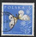 miniature POLOGNE 1962 - Y&T N° 1146