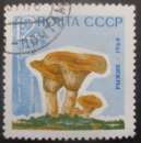 miniature RUSSIE N°2884 Champignons oblitéré