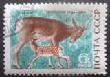 miniature RUSSIE N°3529 Biche oblitéré
