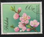 miniature POLOGNE 1971 - Y&T N° 1982