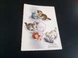 miniature  BELLE ILLUSTRATION...
