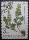 miniature RUSSIE N°5233 Plante médicinale oblitéré 