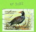 Timbre