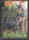 miniature Australie  - YT  1552  obl - Berger allemand (1996)