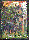 miniature Australie  - YT  1552  obl - Berger allemand (1996)