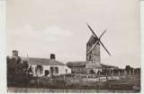 Timbre