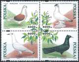 Pologne - 1994 - Y & T n° 3304 à 3307 - MNH