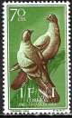 Ifni - 1957 - Y & T n° 111 - MNH