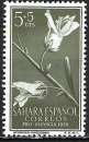 Sahara espagnol - 1956 - Y & T n° 113 - MNH
