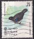 Timbre