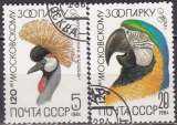 Timbre