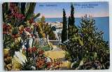 miniature Monaco Le jardin exotique
