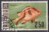 Timbre