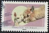 miniature France 2023 Oblitéré Used Tendres Animaux Alpagas Y&T FR 2250 SU