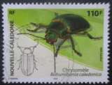 Timbre