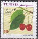 Timbre