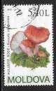 Moldavie - Y&T n° 609 -  Oblitéré / Used  - 2010